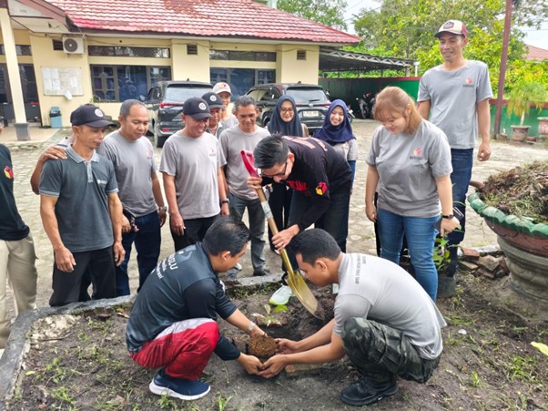 Penanaman pohon manggis
