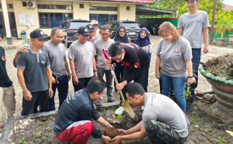 Penanaman pohon manggis